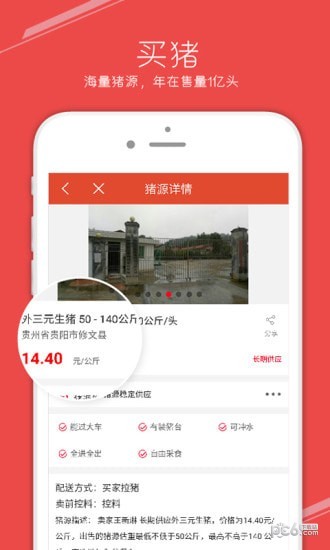 国家生猪市场截图1