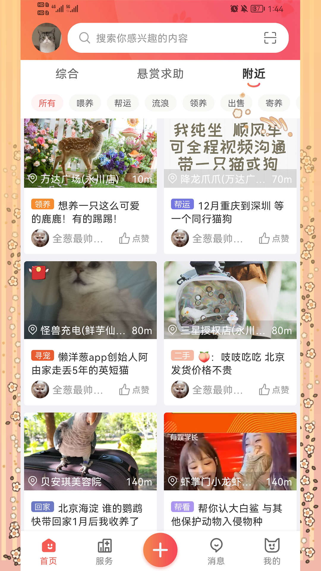 懒洋葱截图2