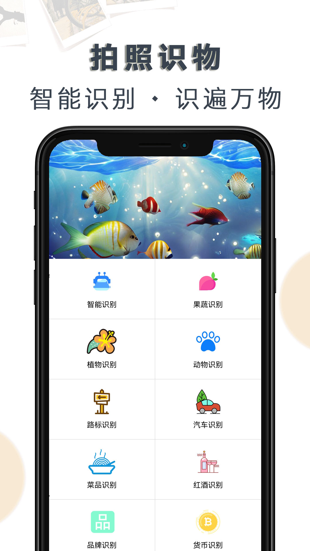 豆拍拍照识物截图1