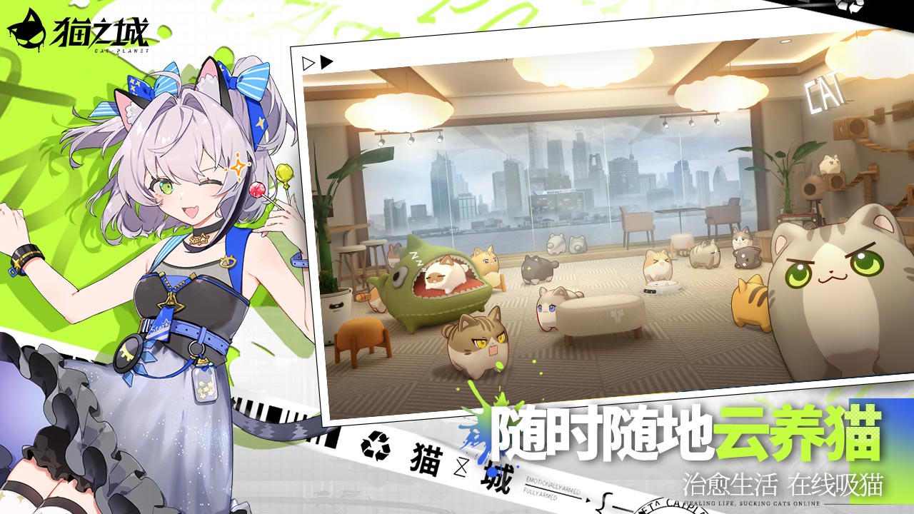 猫之城截图3