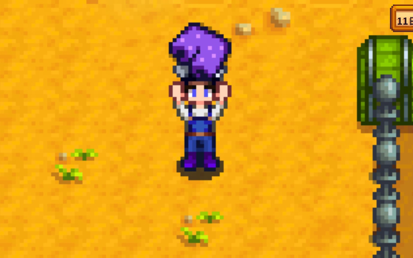 星露谷物语完成法师的任务