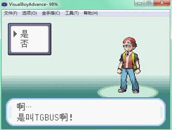 口袋妖怪火红训练师之塔有什么用