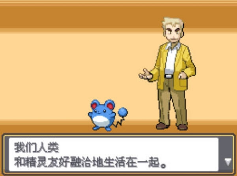 口袋妖怪火红训练师之塔有什么用