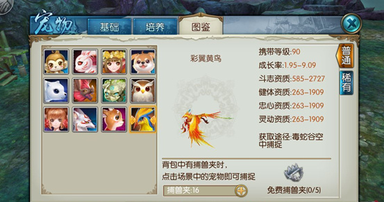 诛仙手游黄鸟怎么上4技能加点