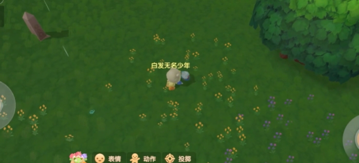 摩尔庄园毛毛菇怎么获得