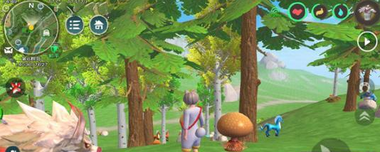 创造与魔法松露在哪里