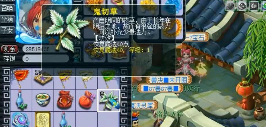 梦幻西游宝宝补魔法用什么
