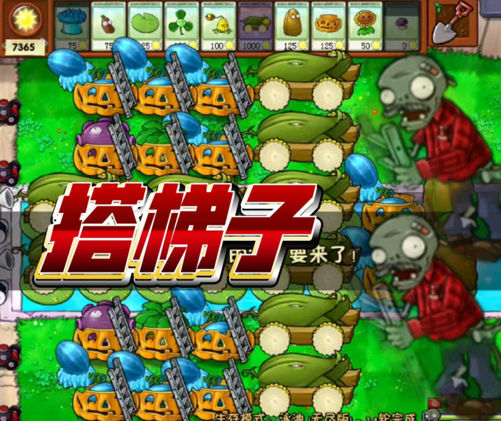 植物大战僵尸无尽模式梯子怎么搭