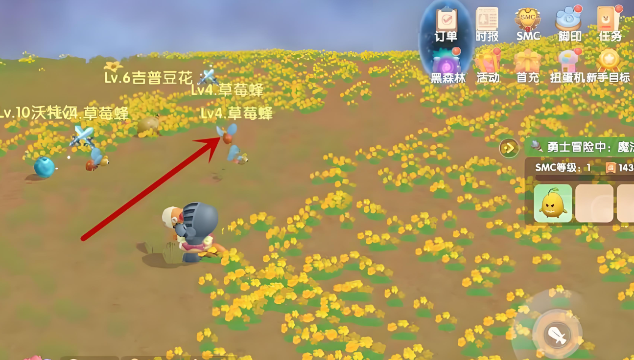 摩尔庄园手游怎么抓宠物