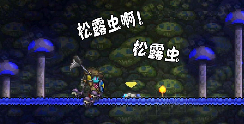 泰拉瑞亚动物保护手册怎么用