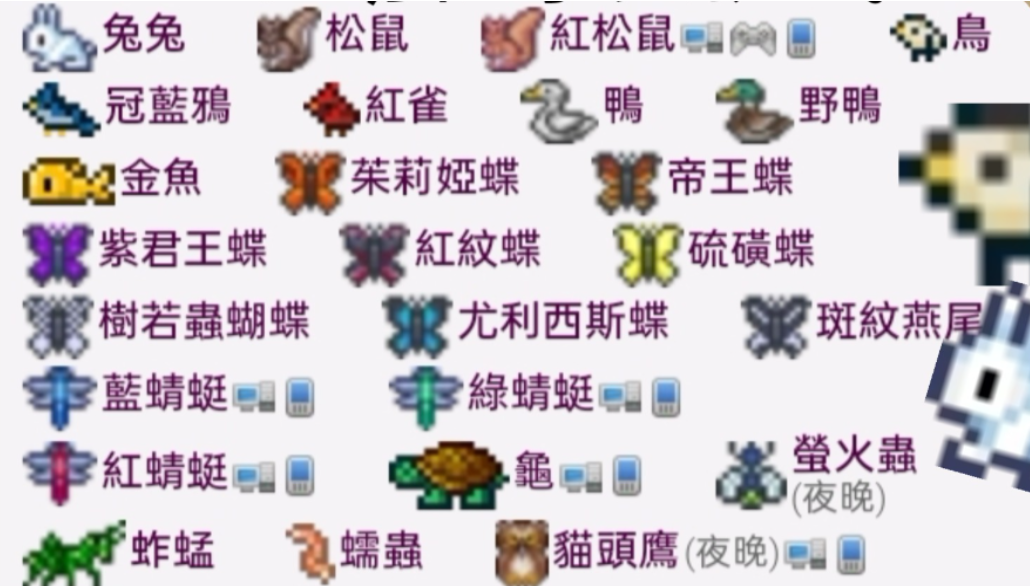 泰拉瑞亚动物保护手册怎么用