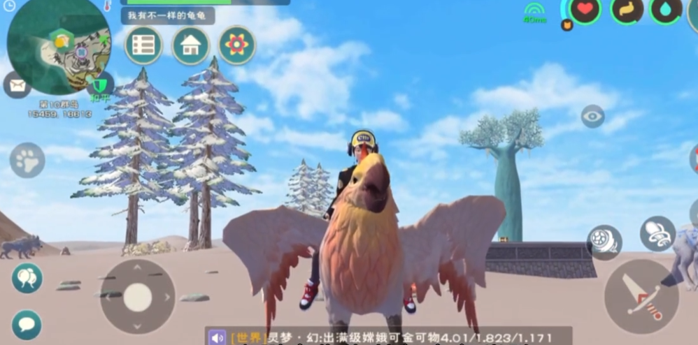 创造与魔法普通鸟的饲料怎么做 创造与魔法普通鸟的饲料怎么做