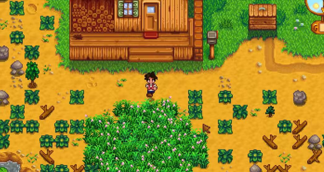 星露谷物语开场选什么农场好 星露谷物语开场选什么农场好