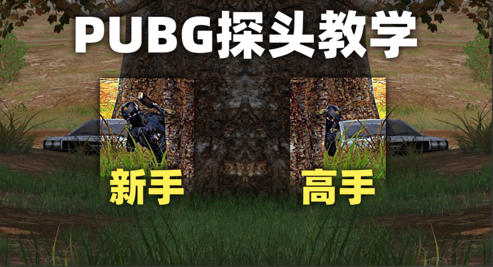 绝地求生怎么侧身探头 绝地求生怎么侧身探头