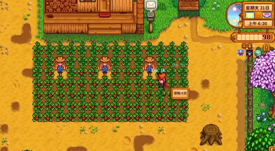 星露谷物语前期种什么最好