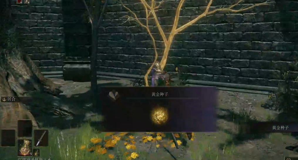 艾尔登法环一开始干什么