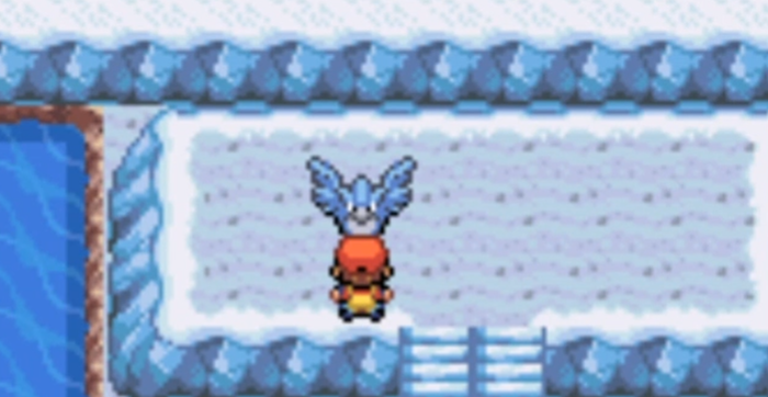 口袋妖怪火红养什么宝可梦