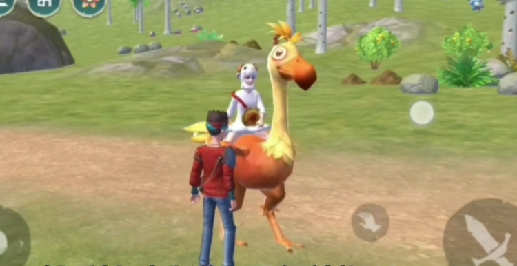 创造与魔法陆行鸟吃多少饲料