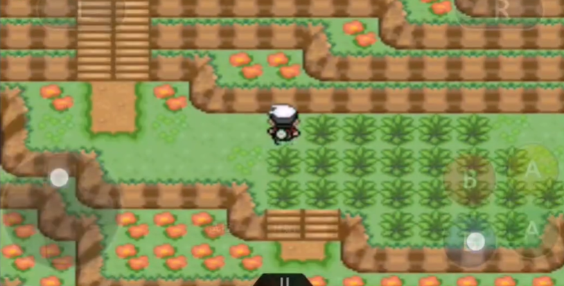 口袋妖怪火红暗之石在哪