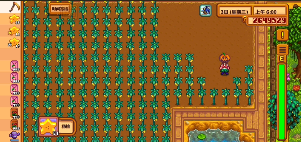 星露谷物语第二年夏天种什么好 星露谷物语第二年夏天种什么好