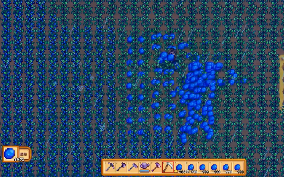 星露谷物语第二年夏天种什么好 星露谷物语第二年夏天种什么好