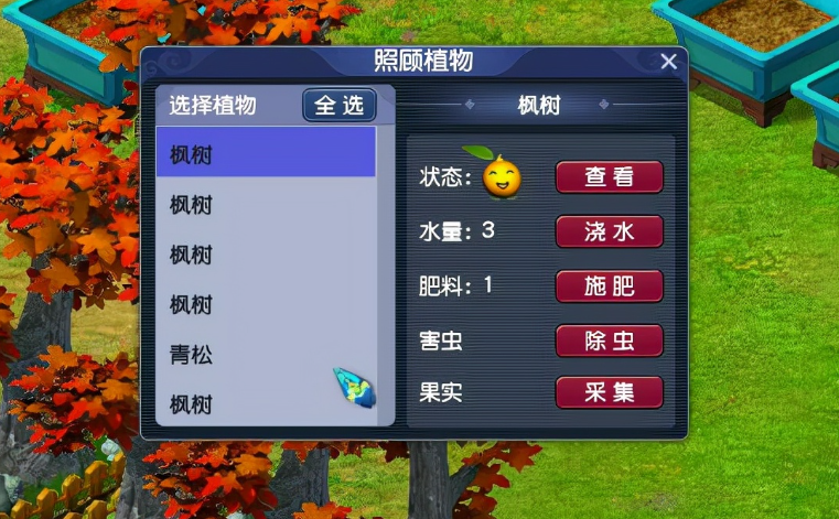 梦幻西游植物的种子怎么种