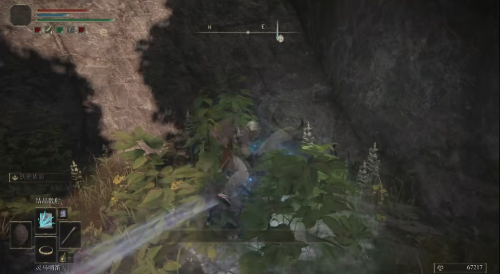 艾尔登法环龙墓白龙在哪