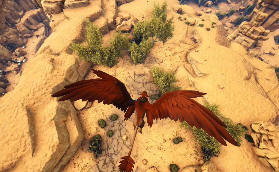 方舟生存进化狮鹫有什么用