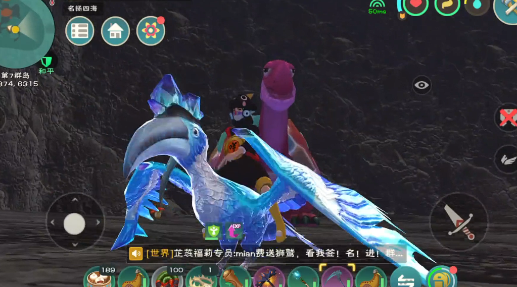 创造与魔法彩壳龟在哪 创造与魔法彩壳龟在哪