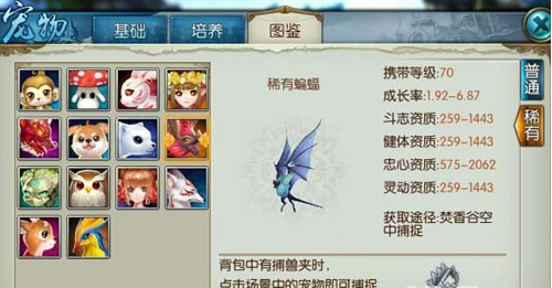 诛仙手游鬼王稀有蝙蝠怎么加点