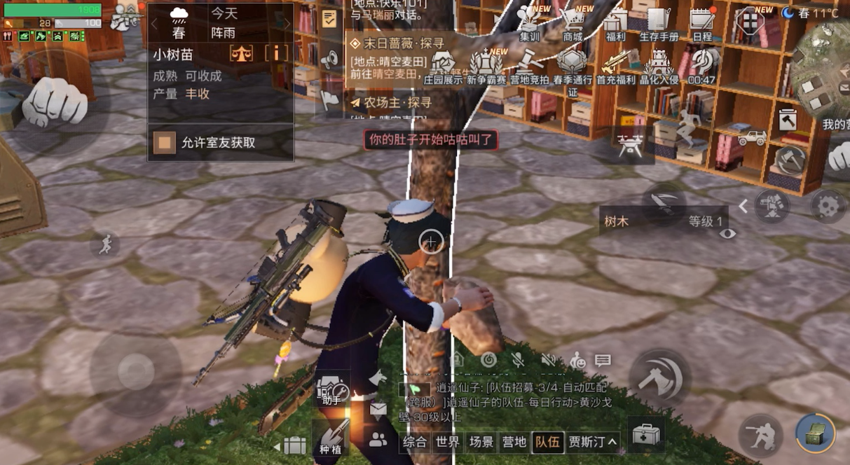 明日之后橡树苗怎么获得