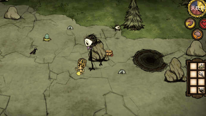 饥荒鸟笼养什么鸟好