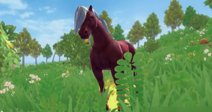 创造与魔法坐骑哪个最好