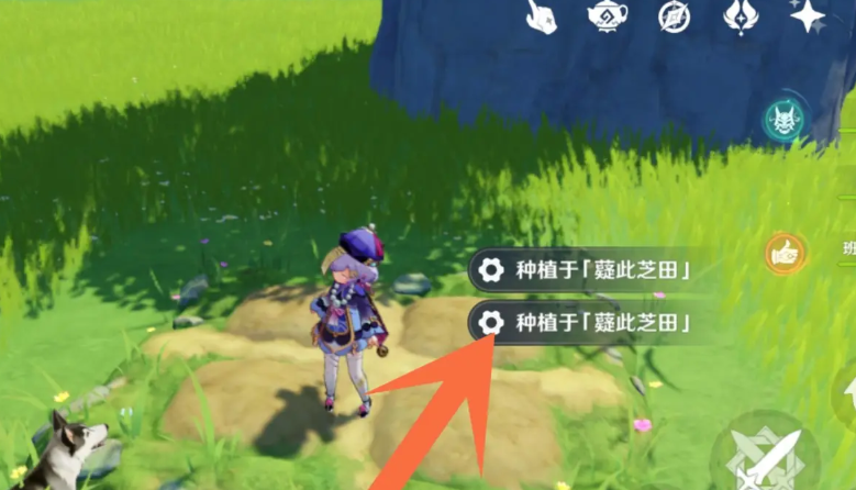 原神怎么在尘世壶里面种东西