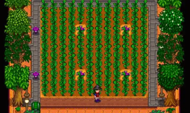 星露谷物语洒水器怎么获得