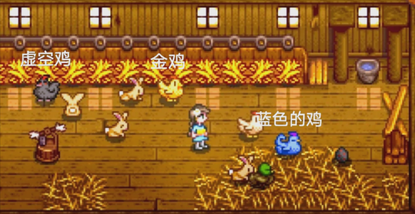 星露谷物语去哪里才能找到金鸡