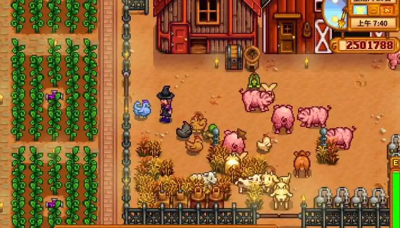 星露谷物语去哪里才能找到金鸡