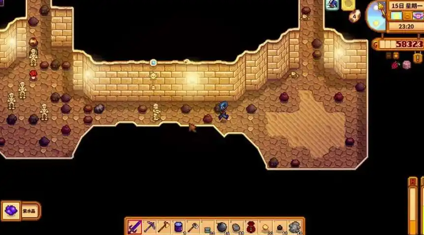 星露谷物语去沙漠准备什么