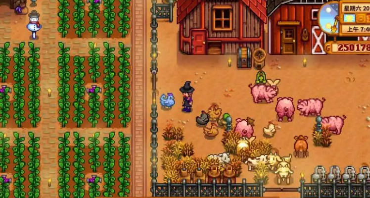 星露谷物语怎么防止女巫捣乱